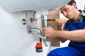 Professional Plumbing  in Huntland, TN